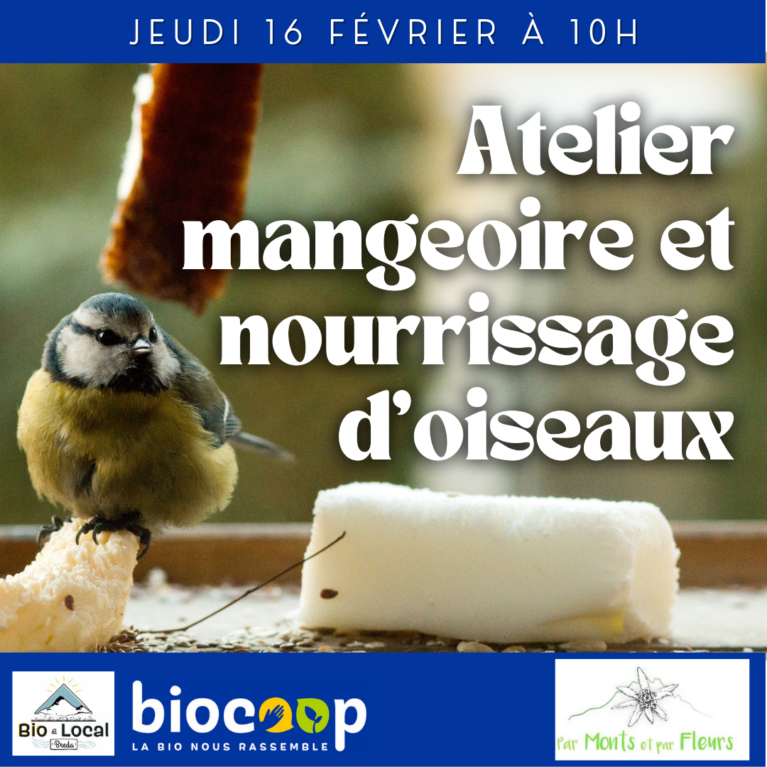 Atelier mangeoire et nourrissage d'oiseaux - Jeudi 16 février Atelier mangeoire et nourrissage d'oiseaux - Jeudi 16 février