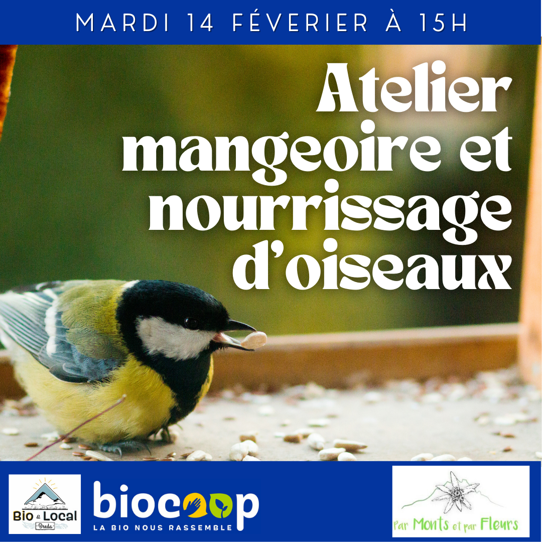 Atelier mangeoire et nourrissage d'oiseaux - Mardi 14 février Atelier mangeoire et nourrissage d'oiseaux - Mardi 14 février