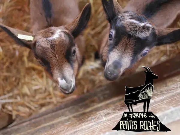 La Ferme des Petites-Roches 