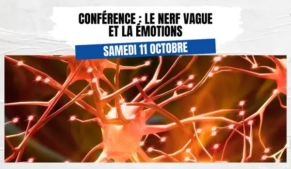 Conférence : le nerf vague et les émotions