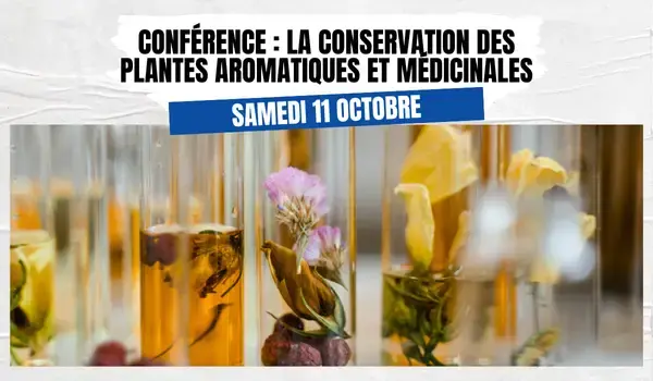 Conférence : la conservation des plantes aromatiques et médicinales