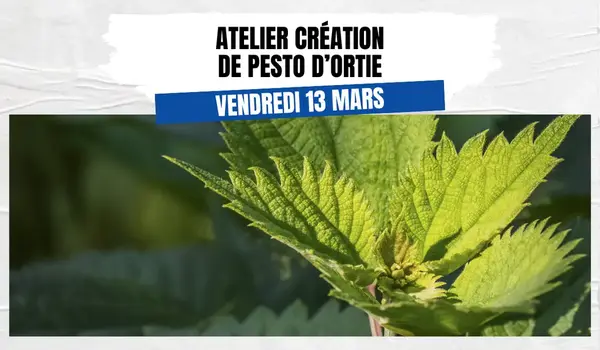 Atelier création de pesto d’ortie