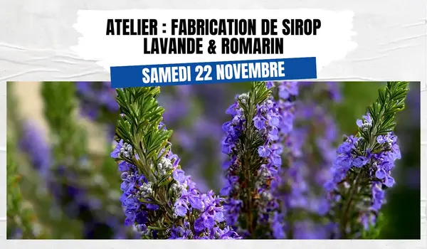 Atelier : fabrication de sirop lavande & romarin
