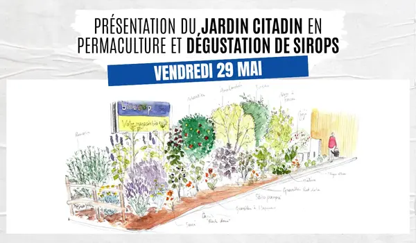 Présentation du jardin citadin en permaculture et dégustation de sirops