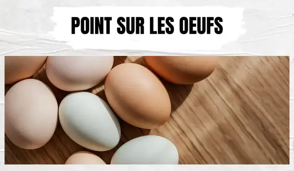 Point sur les oeufs 