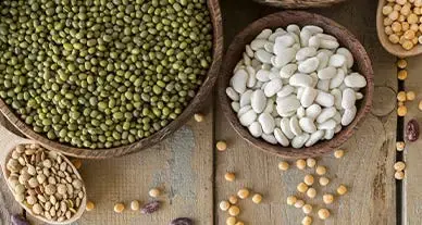 Cultures mineures, intérêt majeur pour la biodiversité Cultures mineures, intérêt majeur pour la biodiversité